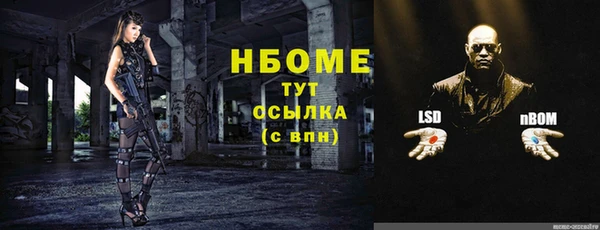 дживик Баксан