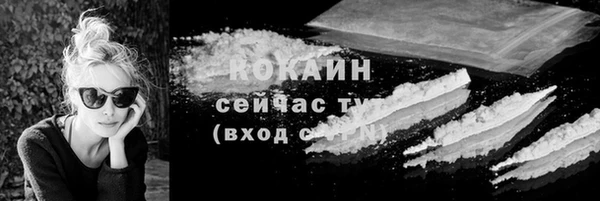 дживик Баксан