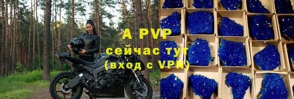 дживик Баксан