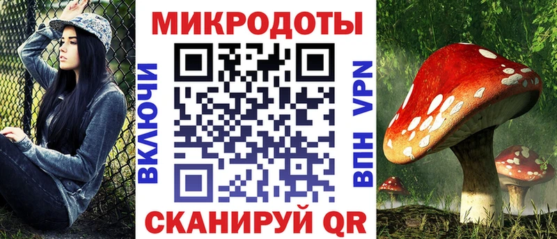 Галлюциногенные грибы Cubensis  где можно купить   Кулебаки 